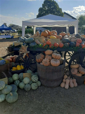 Frutti e buoi...dei paesi tuoi